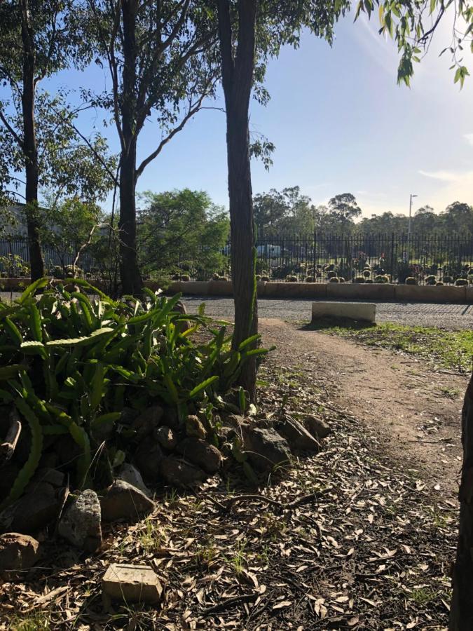Australian Motor Home Tourist Park Twelve Mile Creek Karuah Exterior foto